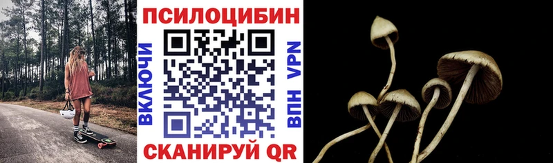 Галлюциногенные грибы Magic Shrooms  хочу   Калач-на-Дону 